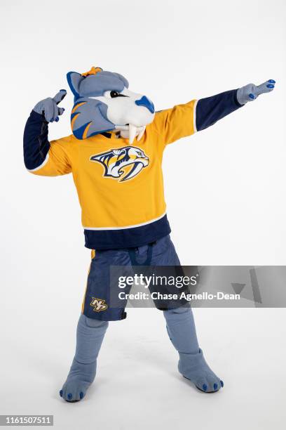 Preds Maskcot Mascots Gnash Photos and Premium High Res Pictures - Getty Images