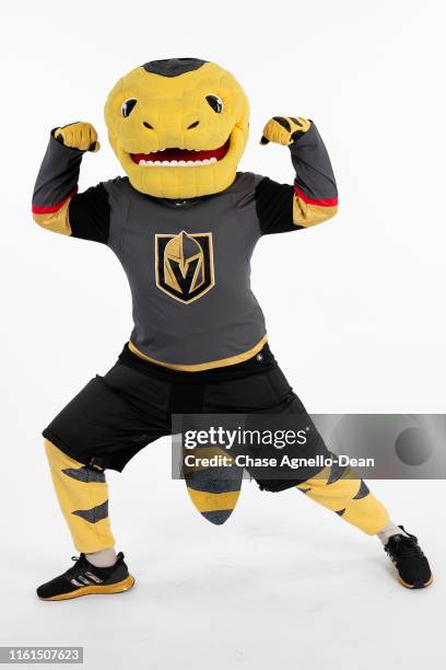 Vegas Golden Knights mascot Chance the Golden Gila Monster poses for a portrait on August 13, 2019 at the United Center in Chicago, Illinois.