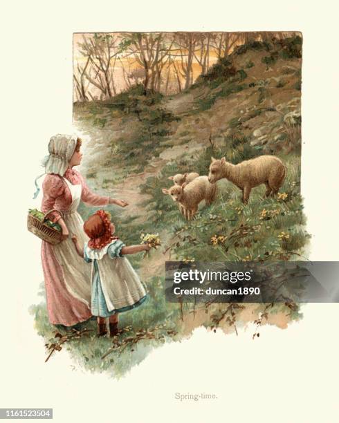 children visiting spring lambs on the farm, victorian 19th century - sheep farm stock illustrations