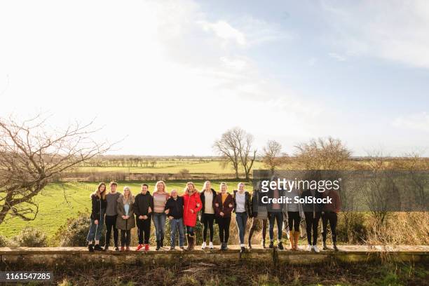 friends in the countryside - arm in arm stock pictures, royalty-free photos & images