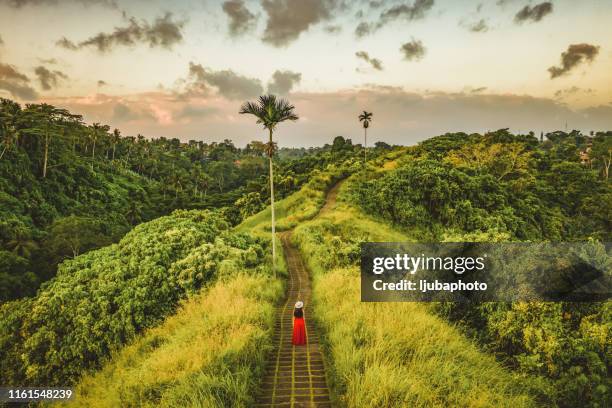 nature is bliss - ubud stock pictures, royalty-free photos & images