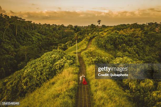 your presence makes my heart dance - ubud rice fields stock pictures, royalty-free photos & images