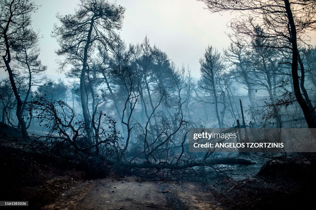TOPSHOT-GREECE-FIRE