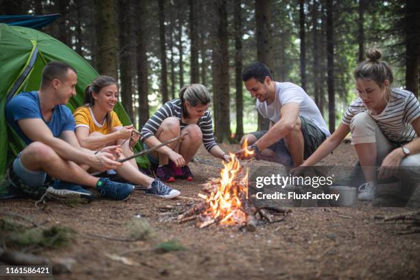 cheerful campers barbecuing and having fun in the mountains - campfire stories stock pictures, royalty-free photos & images