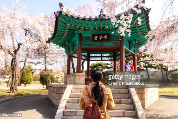 asian woman sightseeing korean pavilion in the park with the cherry blossoms are blooming in seoul, south korea. - holy city park stock-fotos und bilder