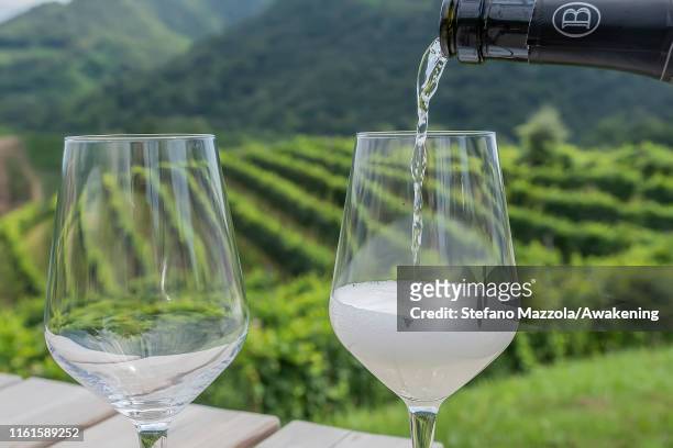 Prosecco is poured into the glass in a vineyard on July 12, 2019 in Conegliano, Italy.The Conegliano and Valdobbiadene regions of northeast Italy...