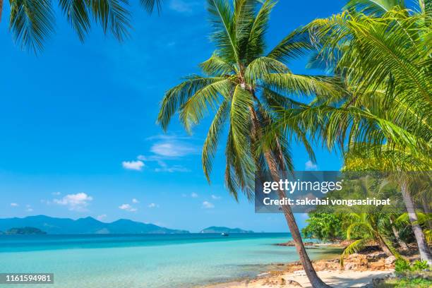 tropical beach against sky at koh chang in thailand - koh chang stock pictures, royalty-free photos & images