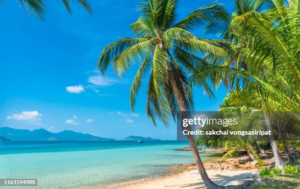 scenic view on beach against sky at koh chang in thailand, asia - koh chang stock pictures, royalty-free photos & images