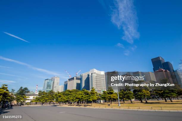 skyline of the imperial gardend at day time. - marunouchi stock pictures, royalty-free photos & images