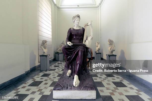 Museo Archeologico Nazionale Napoli Photos and Premium High Res