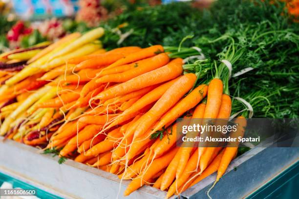 fresh carrot on the market stall at the farmer's market - carrot stock-fotos und bilder