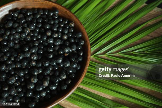 açai fruit in amazon brazil - acai berries stockfoto's en -beelden