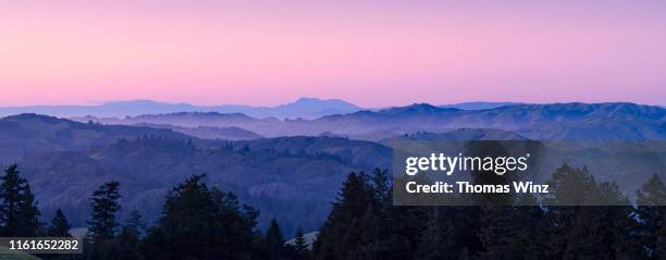 rolling hills at sunset, marin county - noordelijk californië stockfoto's en -beelden