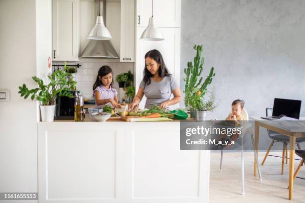 faire un repas de légumes sains pour mes enfants - large family stock photos et images de collection