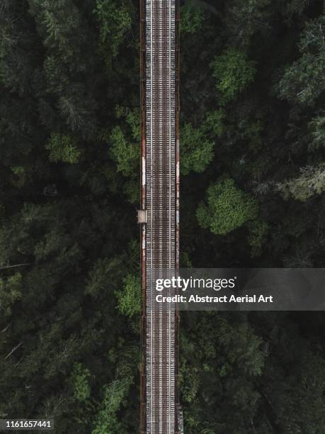 niagara trestle, goldstream, canada - green bridge over trees stock pictures, royalty-free photos & images