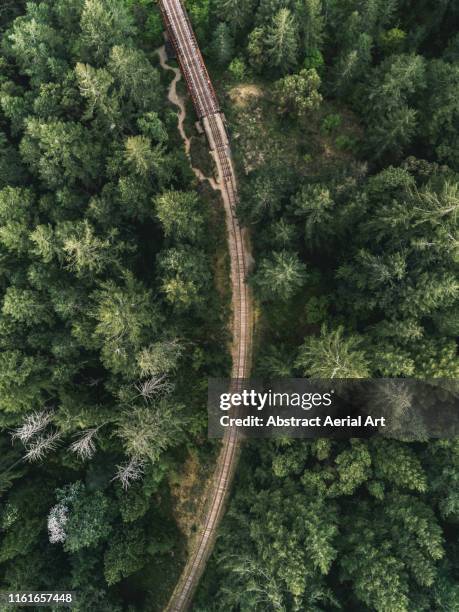 niagara trestle, vancouver island, canada - train tracks and nature foto e immagini stock