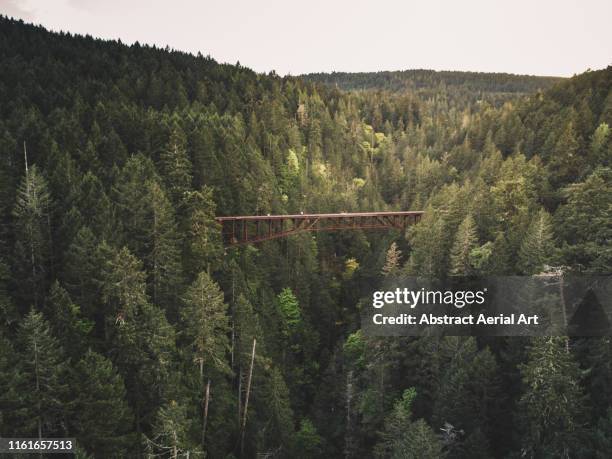 niagara trestle, goldstream, canada - vancouver canada 2018 stock pictures, royalty-free photos & images