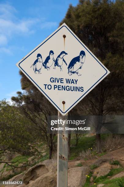 Penguin Sign Penguin Sign Photos and Premium High Res Pictures - Getty Images