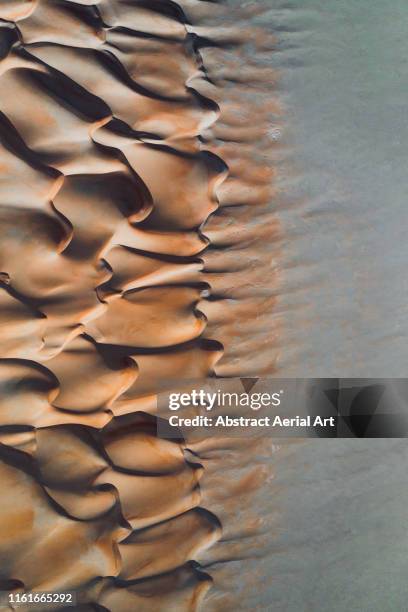 Emirates Tree Pattern 8,564 United Emirates Pattern Stock Photos, High-Res Pictures, and ...