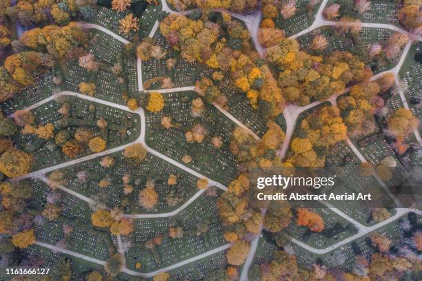 cemetery from above, munich, germany - cemetery stock-fotos und bilder