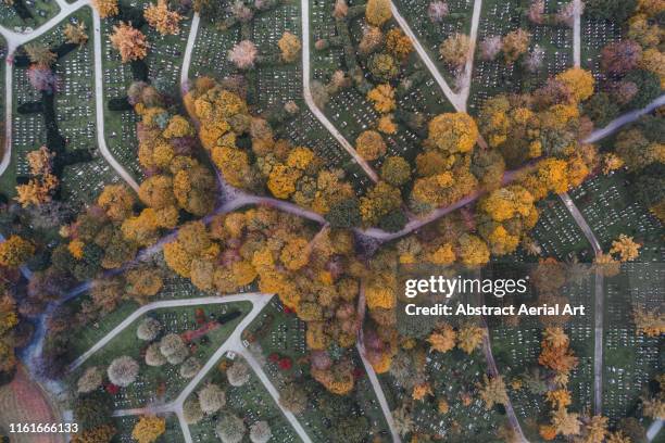 aerial view of autumn colours in a cemetery, munich, germany - cemetery stock-fotos und bilder