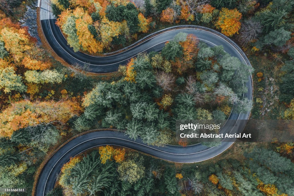 Curved road during autumn in the Bavarian alps as seen from above, Germany