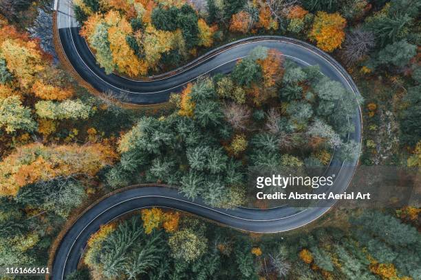 curved road during autumn in the bavarian alps as seen from above, germany - straßenverkehr stock-fotos und bilder