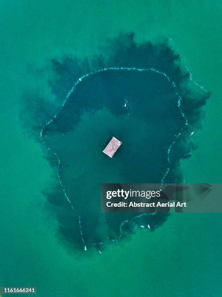 strange water patterns, hong kong - osmosis stock pictures, royalty-free photos & images