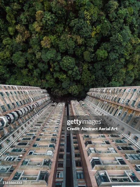 contrasting image between nature and a building complex shot with a drone, hong kong - kondo photography stock pictures, royalty-free photos & images