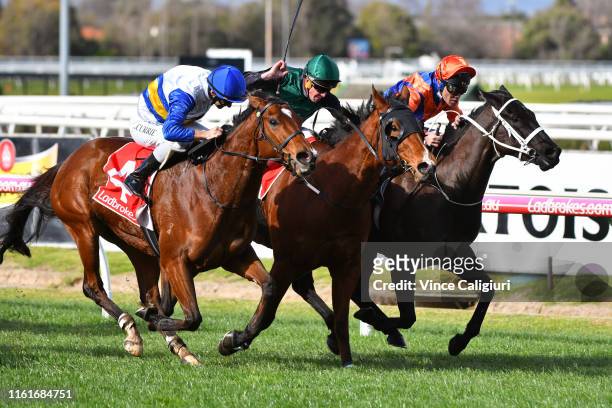 Luke Currie riding Miss Vixen defeats Justin Potter riding Beautiful Flyer and Michael Walker riding Charlayne in Race 2 during Melbourne Racing at...