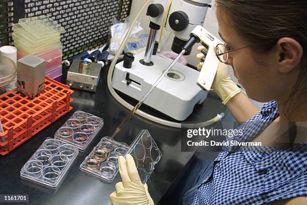 Israeli researcher Michal Amit prepares trays of solution to grow human stem cell colonies September 5, 2001 at Israel's Technion Institute of...