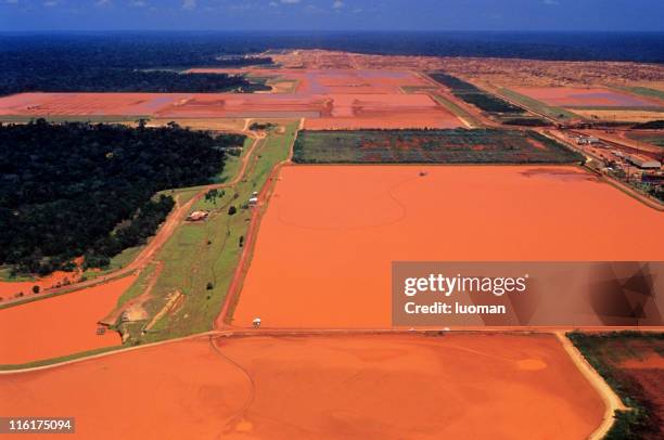 industry in the amazon - deforestation amazon stock pictures, royalty-free photos & images