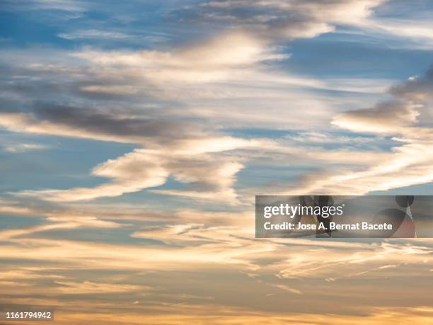 full frame of the low angle view of clouds in sky during sunset. - 高層雲 個照片及圖片檔