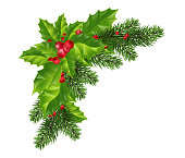 Christmas decorations: Christmas tree branches and holly with red berries. Festive composition. Isolated. Eps10 Vector