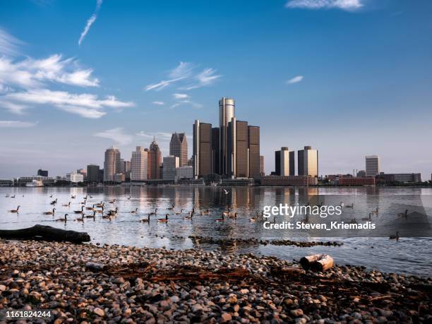 detroit, michigan - geese - detroit michigan stock pictures, royalty-free photos & images