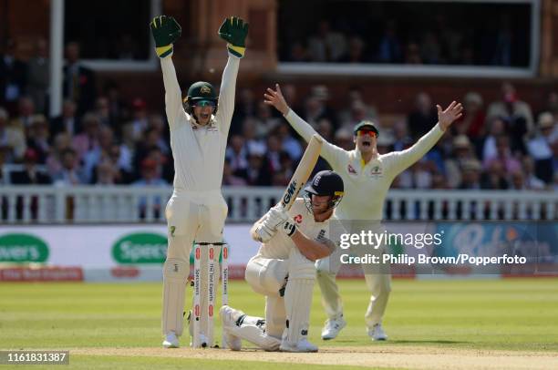 Tim Paine and Steve Smith of Australia appeal for the dismissal of Ben Stokes of England during the second day of the second Specsavers test match...