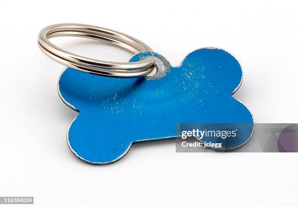 blank pet id tag - halsband stockfoto's en -beelden