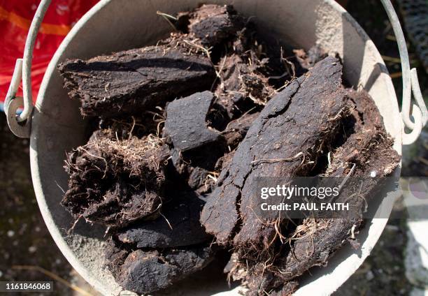 Picture shows turf in a bucket for the fire outside the three roomed thatched cottage home of Margaret Gallagher near the village of Belcoo,...