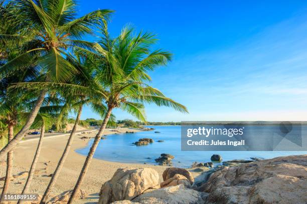 palm tree lined cove in australia - queensland beaches stock pictures, royalty-free photos & images