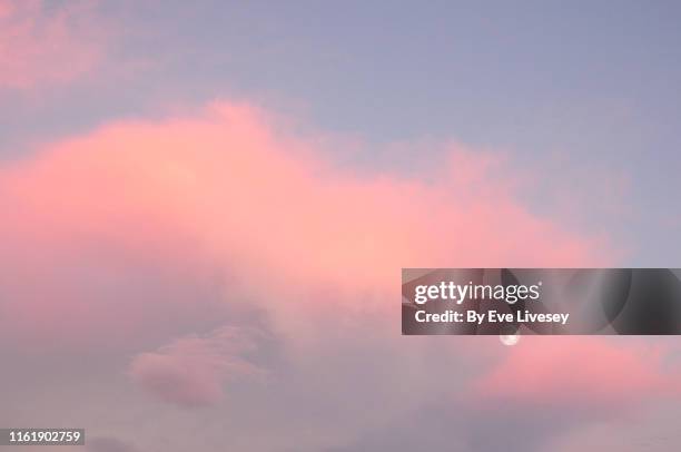 sunset clouds & full moon - rosenfarben stock-fotos und bilder