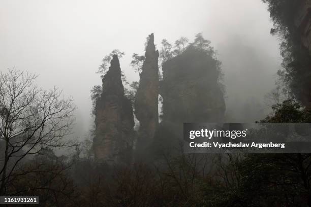 rock pillars in fog, zhangjiajie otherworldly views, hunan, china - pandora peaks stock-fotos und bilder