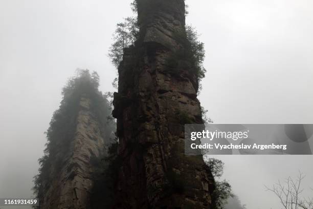 majestic pillar rock formaions in fog, zhangjiajie otherworldly landscape, hunan, china - pandora peaks stock-fotos und bilder