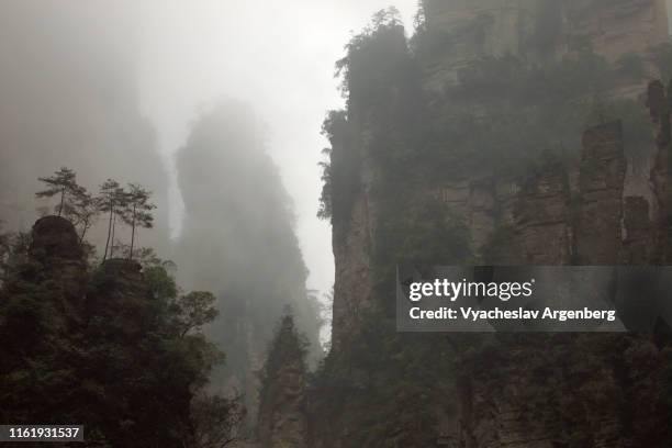 majestic rock formaions in fog, cloudy weather, extraterrestrial scenery, hunan, china - pandora peaks stock-fotos und bilder