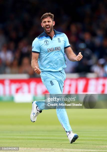 Liam Plunkett of England celebrates dismissing Kane Williamson of New Zealand during the Final of the ICC Cricket World Cup 2019 between New Zealand...