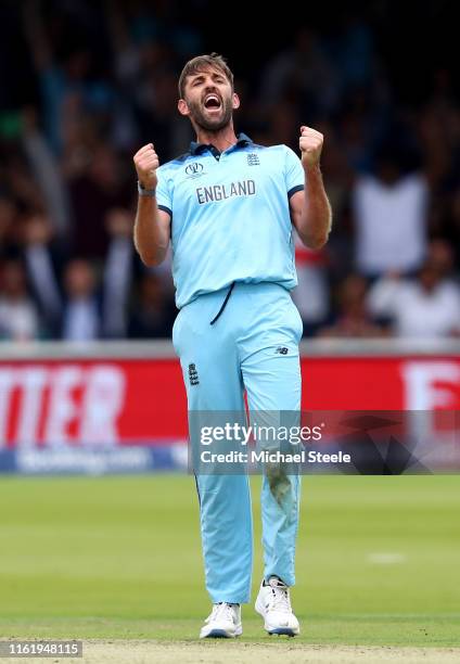 Liam Plunkett of England celebrates dismissing Jimmy Neesham of New Zealand during the Final of the ICC Cricket World Cup 2019 between New Zealand...