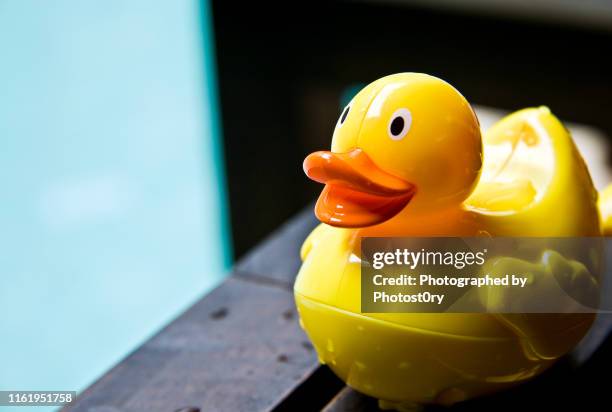 yellow duckie toy - rubber photos et images de collection