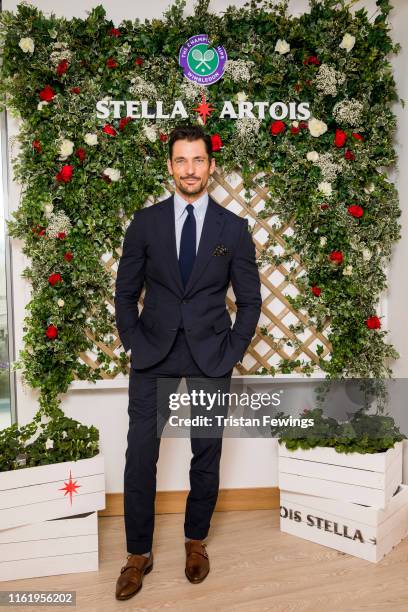 Stella Artois, the Official Beer of the Wimbledon Championships, hosts David Gandy on the Gentleman's Final on July 14, 2019 in Wimbledon, England.