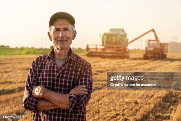 landwirt kontrollierte ernte in seinem feld stock foto - bauer traktor stock-fotos und bilder