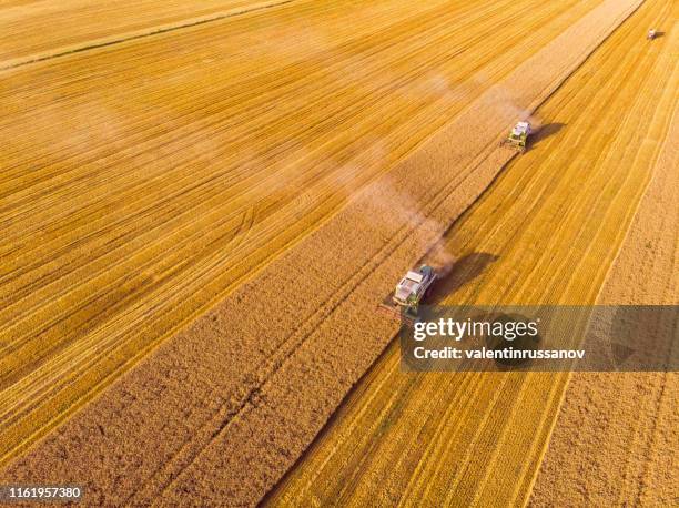 combine harvester on field - monoculture stock pictures, royalty-free photos & images