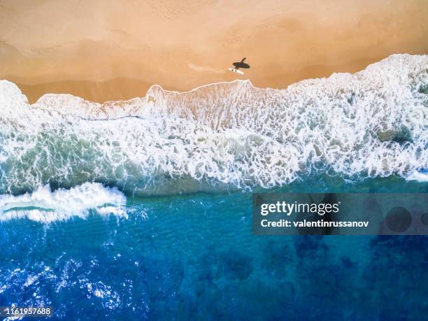 vista aérea del surfista que va al mar - costa dorada fotografías e imágenes de stock